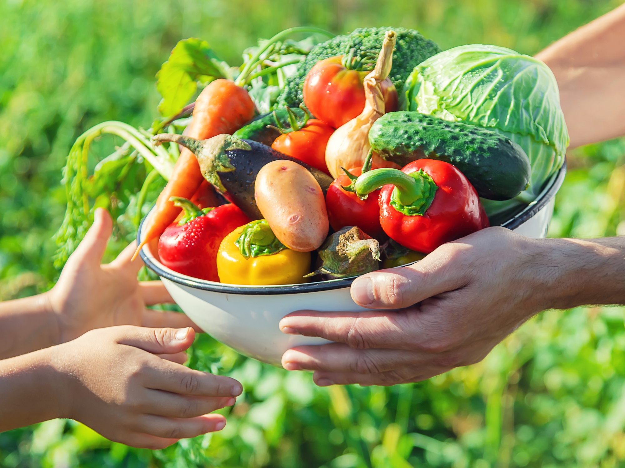 Gemüse, Pilze & Kartoffeln