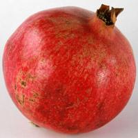 Granatäpfel unsicher