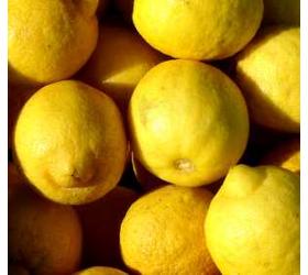 Zitronen unsicher