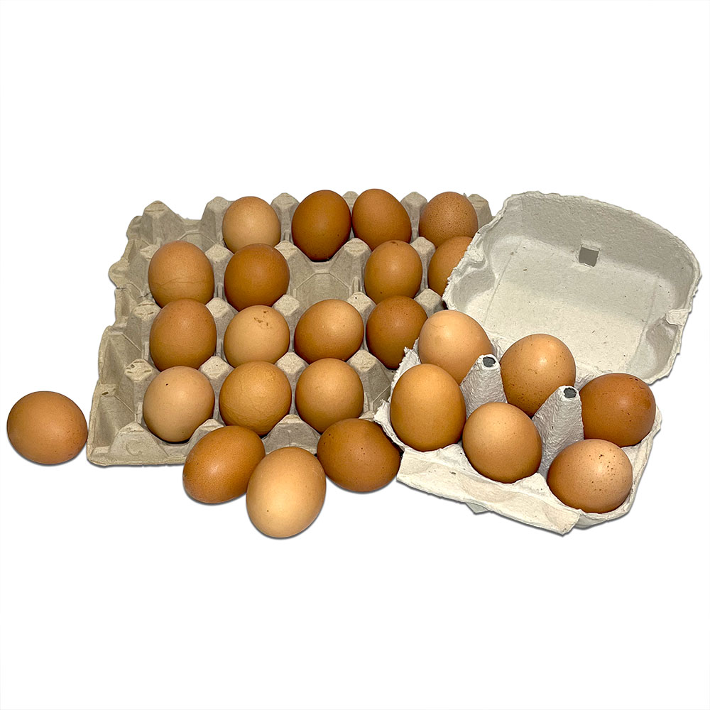 Eier