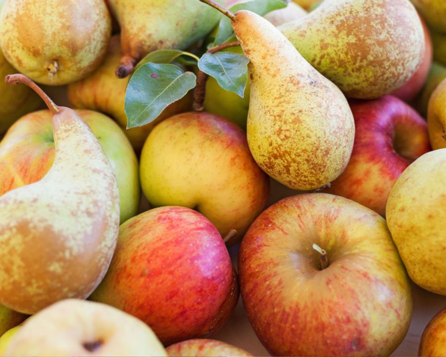 Obst