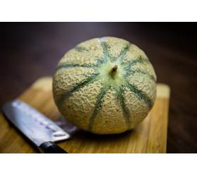 Melonen (Cantaloupe)