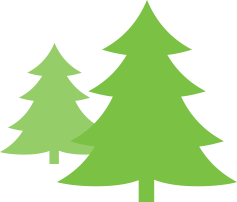 Weihnachtsbaum Mini-Nordmann (100-125cm)