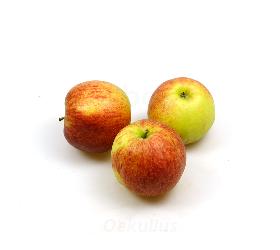 Apfel, Jonagored