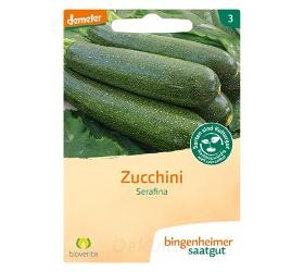 Zucchini 