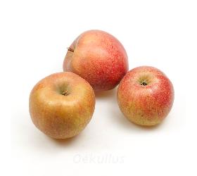 Apfel, Boskoop