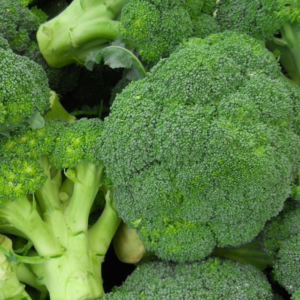 Produktfoto zu Brokkoli