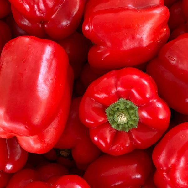 Produktfoto zu Paprika rot