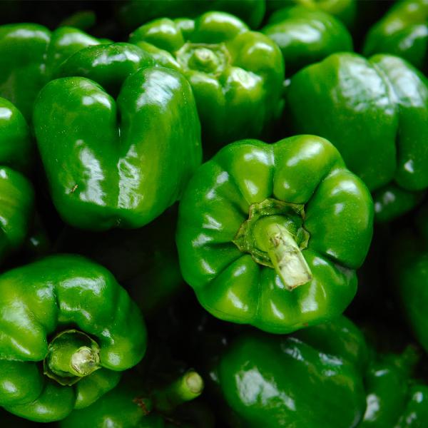 Produktfoto zu Paprika grün