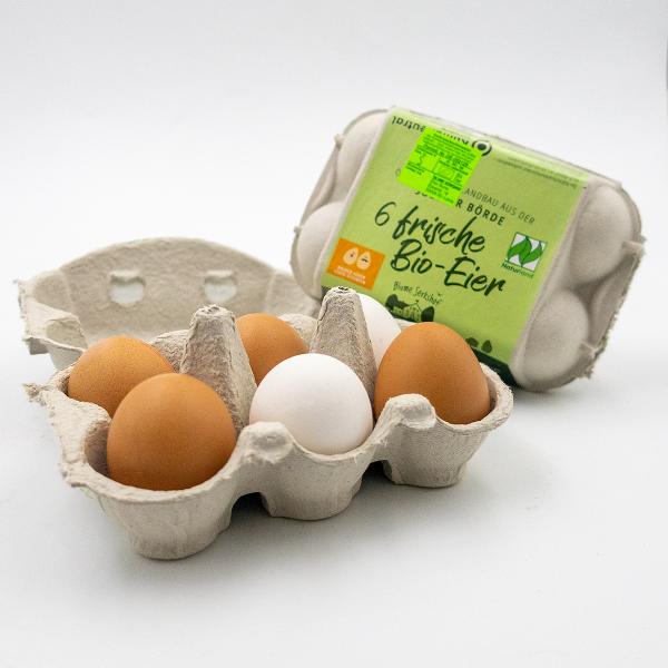 Produktfoto zu Eier, 6 Stück Grösse M