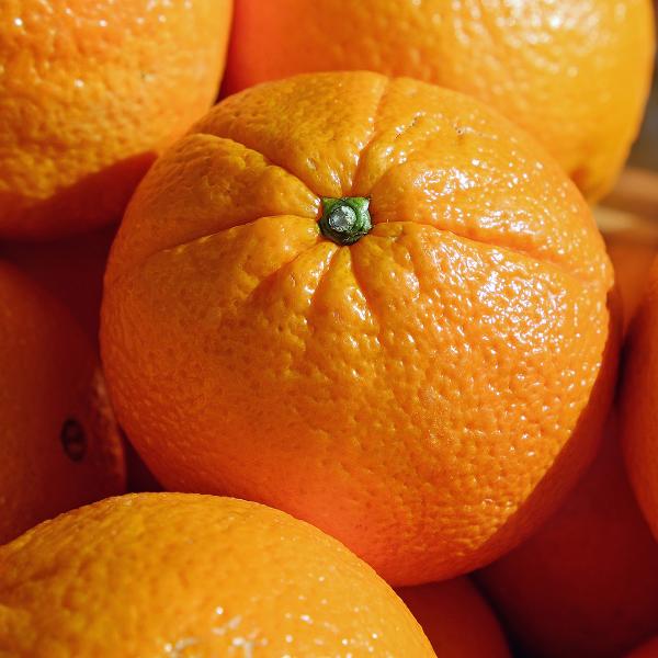 Produktfoto zu Orangen Kaliber 1-3 (groß)
