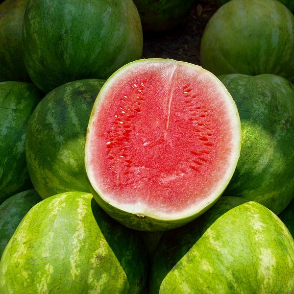 Produktfoto zu Wassermelone Mini  ca. 1kg