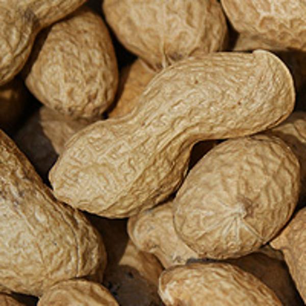 Produktfoto zu Erdnüsse i.d. Schale, 330g