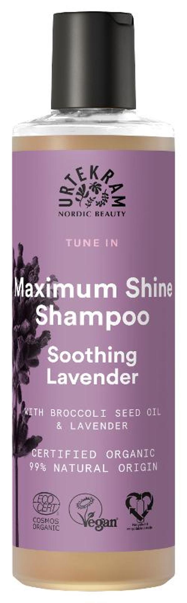 Produktfoto zu Maximum Shine Shampoo Lavender