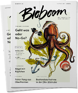 Zeitschrift BioBoom