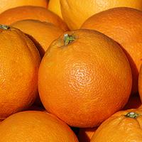 Orangen Tarocco (Halbblut)