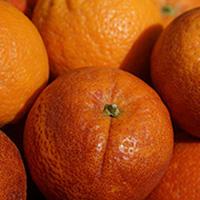 Orangen Sanguinello