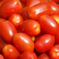 Tomate Datterino regio