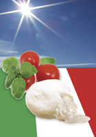 Burrata - mit Rahm gefüllter Mozzarella