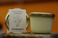 Schafjoghurt, nach tradiotioneller Art, nicht gerührt