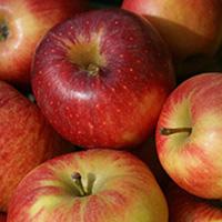 Äpfel 5-kg-Kiste - Mischung aus aktuellem Sortiment