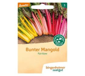 Samen: Mangold 'Rainbow'