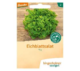 XSamen: Eichblattsalat grün