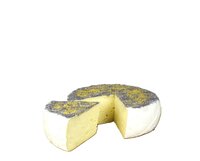 Tomme Fleurie Blüte