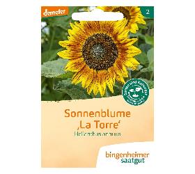 Samen: Sonnenblumen 'La Torre'
