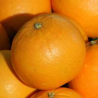 Orangen Navel