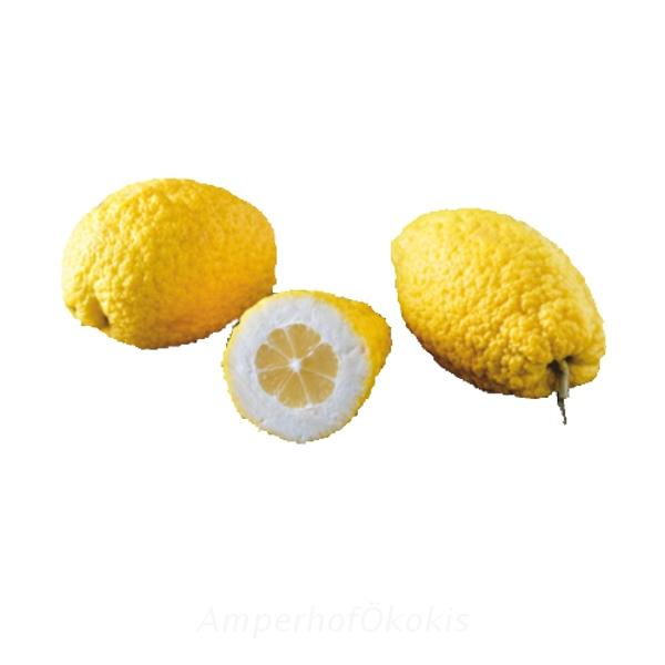 Produktfoto zu Cedro Zitronat-Zitrone