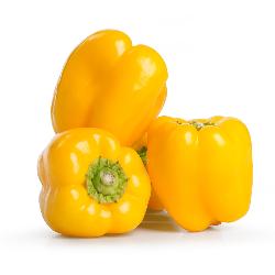 Paprika gelb 5 kg Kiste