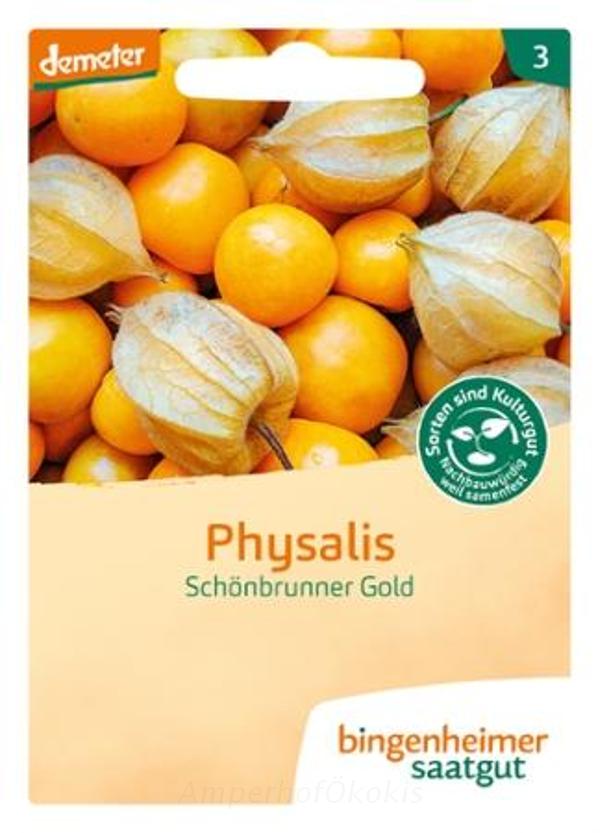 Produktfoto zu Saat: Physalis Schönbrunner Gold