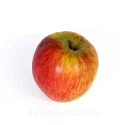 Produktfoto zu Apfel Karmeliterrenette