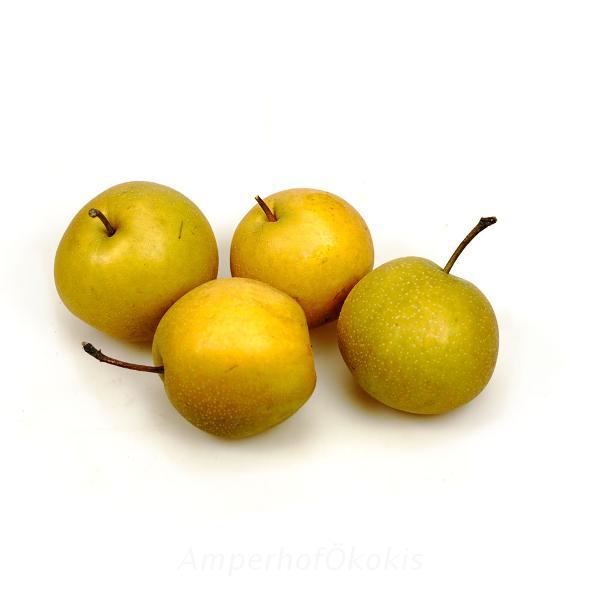 Produktfoto zu Apfelbirne Nashi