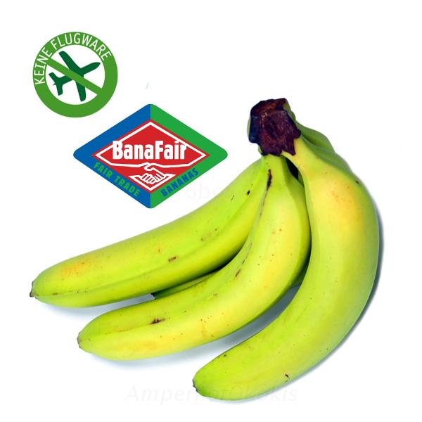 Produktfoto zu Grüne Bananen