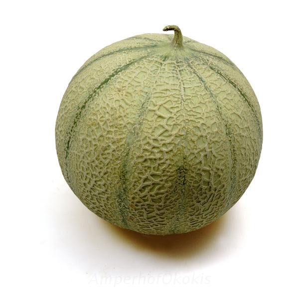 Produktfoto zu Melone "Charentais"