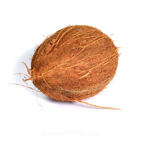 Produktfoto zu Kokosnüsse
