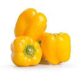 Paprika gelb 5 kg Kiste