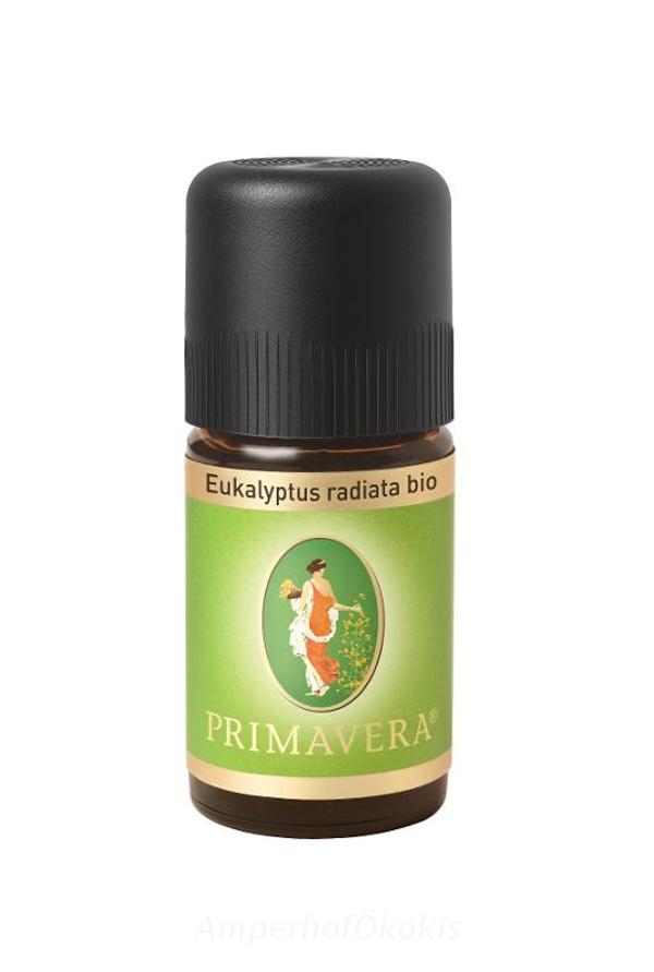 Produktfoto zu Eukalyptus radiata 5 ml