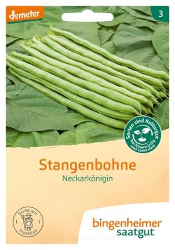 Produktfoto zu Saat: Stangenbohne Neckarkönigin
