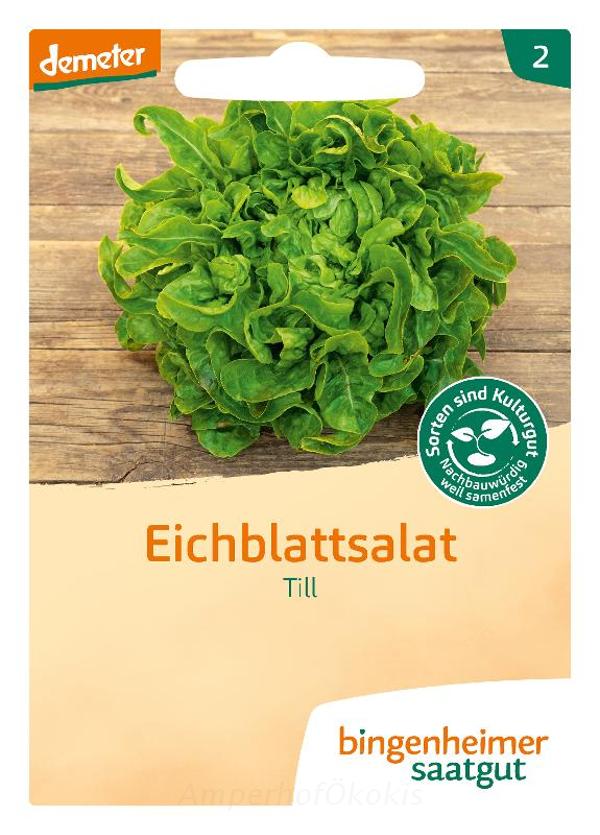 Produktfoto zu Saat: Eichblattsalat Till