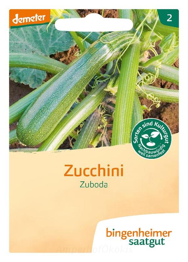 Produktfoto zu Saat: Zuboda grüne Zucchini