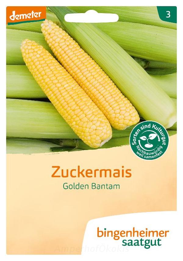 Produktfoto zu Saat: Golden Bantam Mais