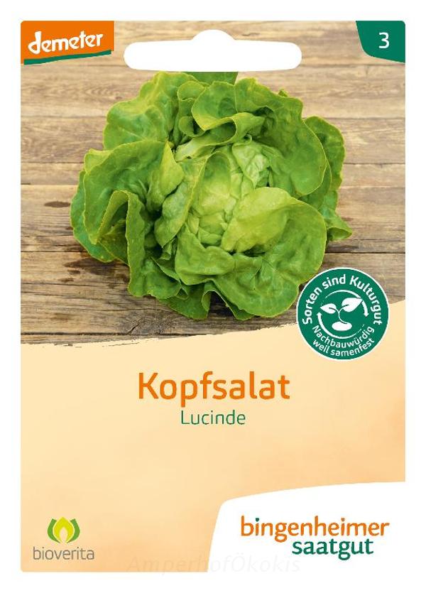 Produktfoto zu Saat: Kopfsalat Lucinde