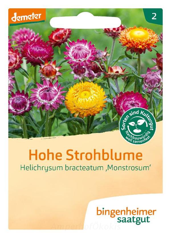 Produktfoto zu Saat: Hohe Strohblume