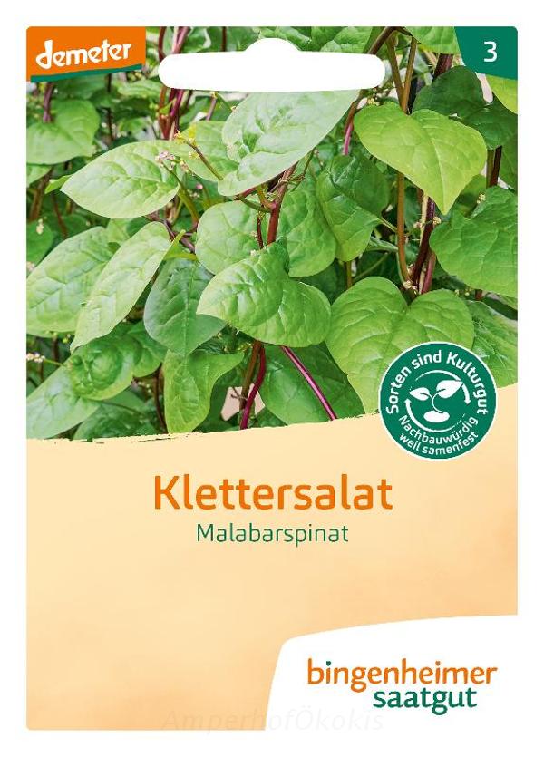 Produktfoto zu Saat: Klettersalat Malabar-Spinat