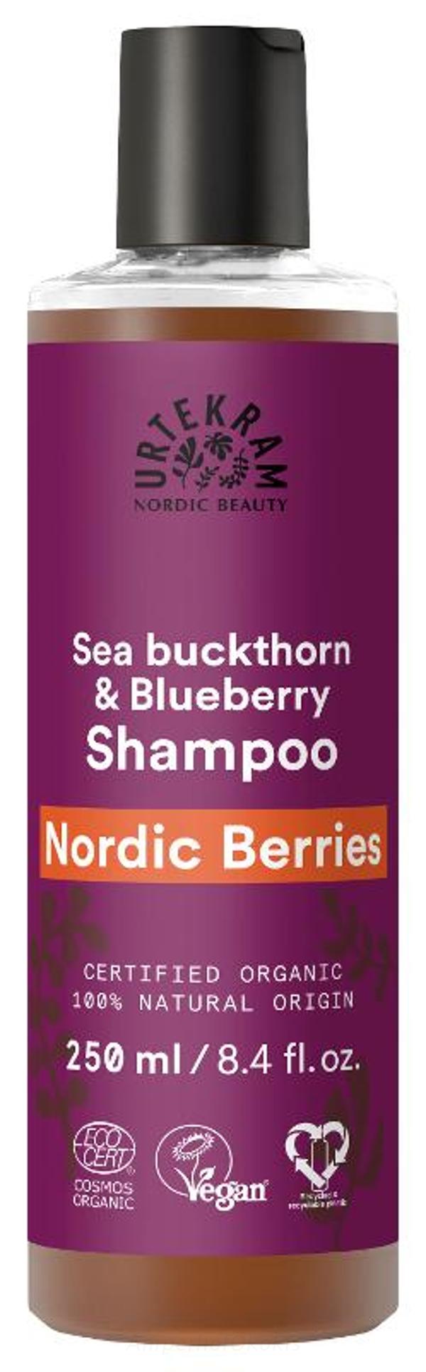 Produktfoto zu Shampoo Nordic Beeries 250 ml