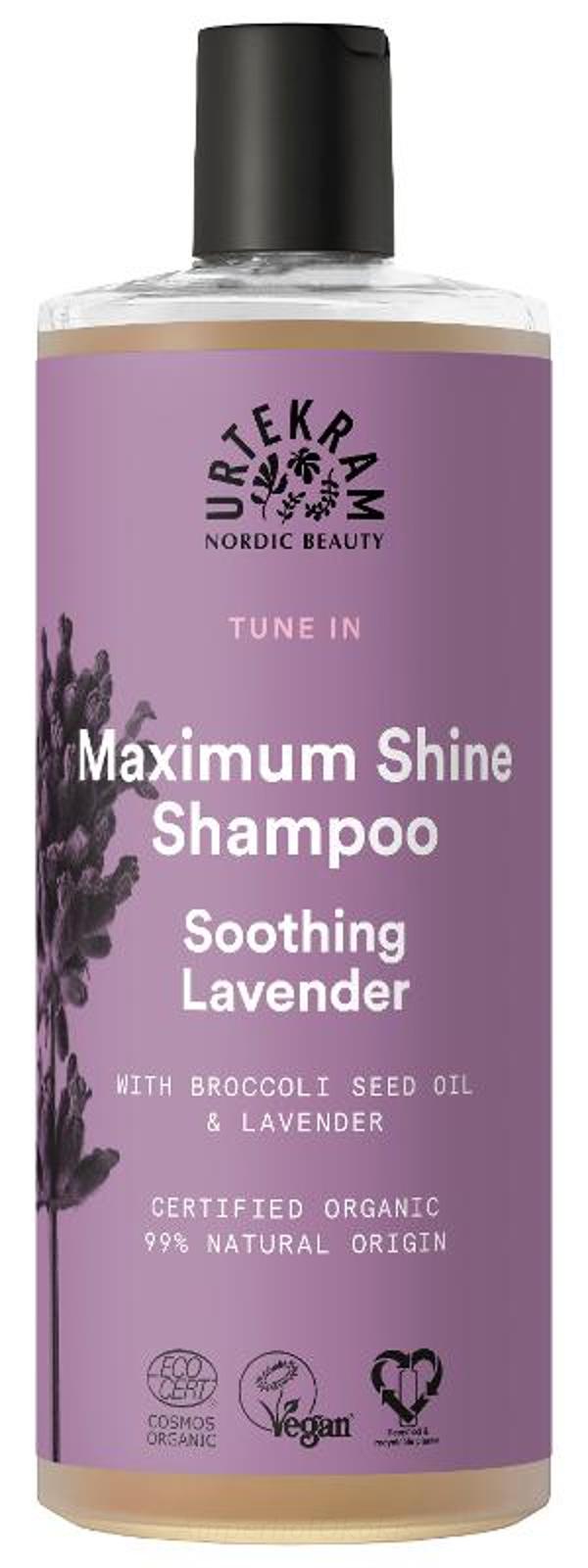Produktfoto zu Shampoo Lavender 500 ml