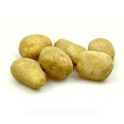 Frühkartoffeln vorwiegend festkochend Sorte Spunta 1kg